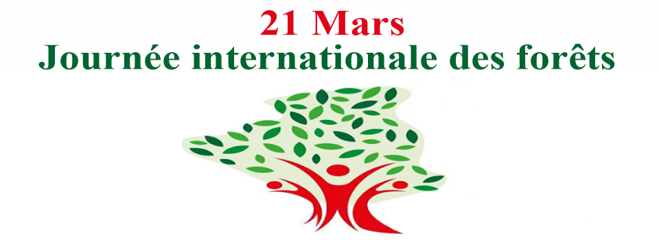 إحتفالية اليوم العالمي للغابات | جامعة أبي بكر بلقايد تلمسان